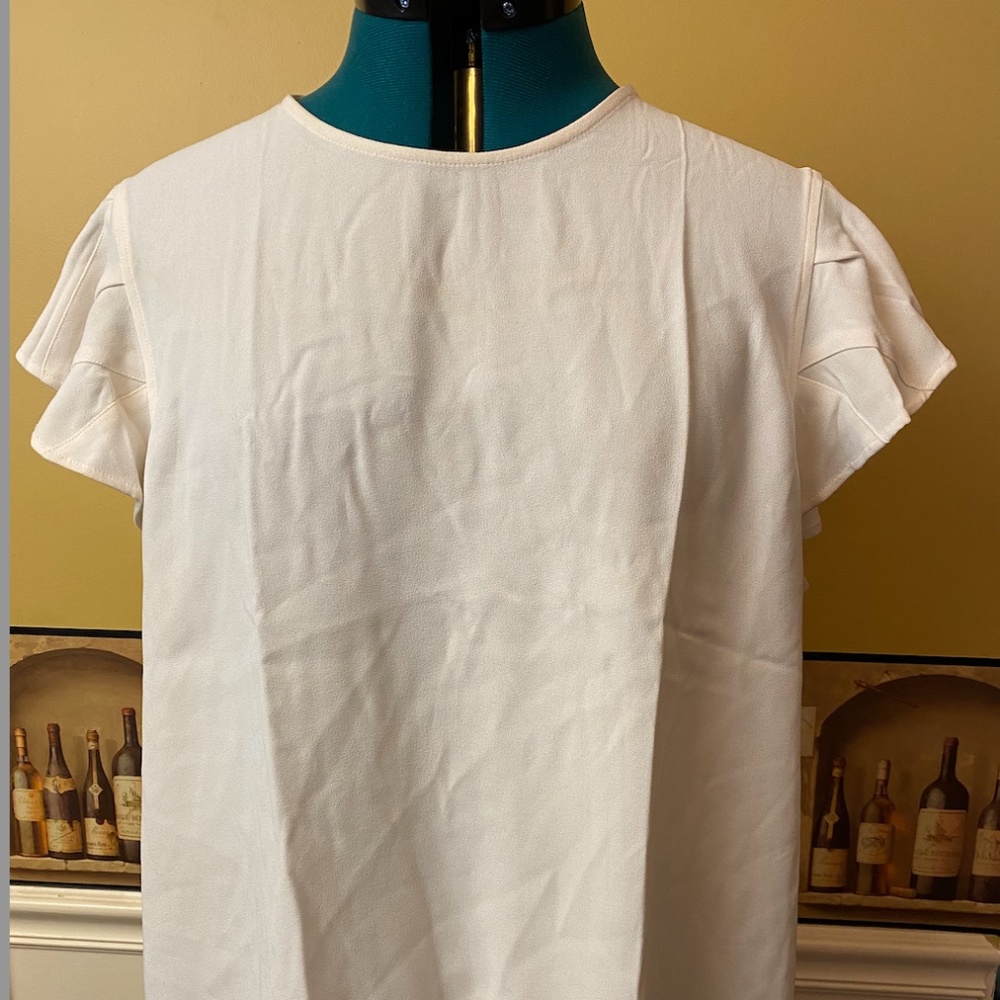 Ann Taylor Blouse